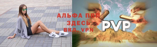 твердый Абаза