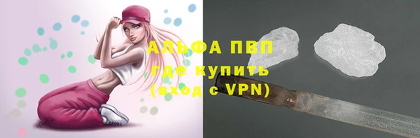 твердый Абаза