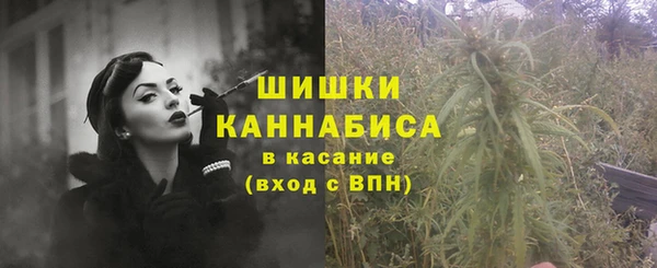 твердый Абаза